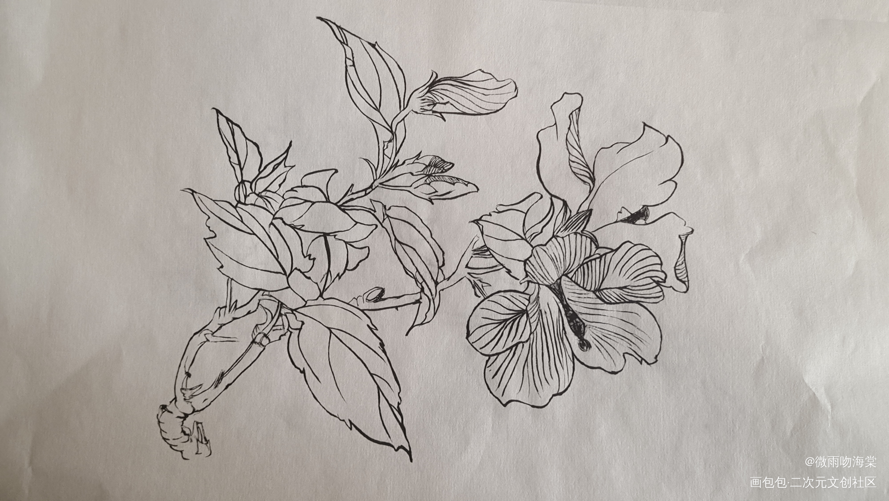 花叶枝_水墨手绘绘画作品