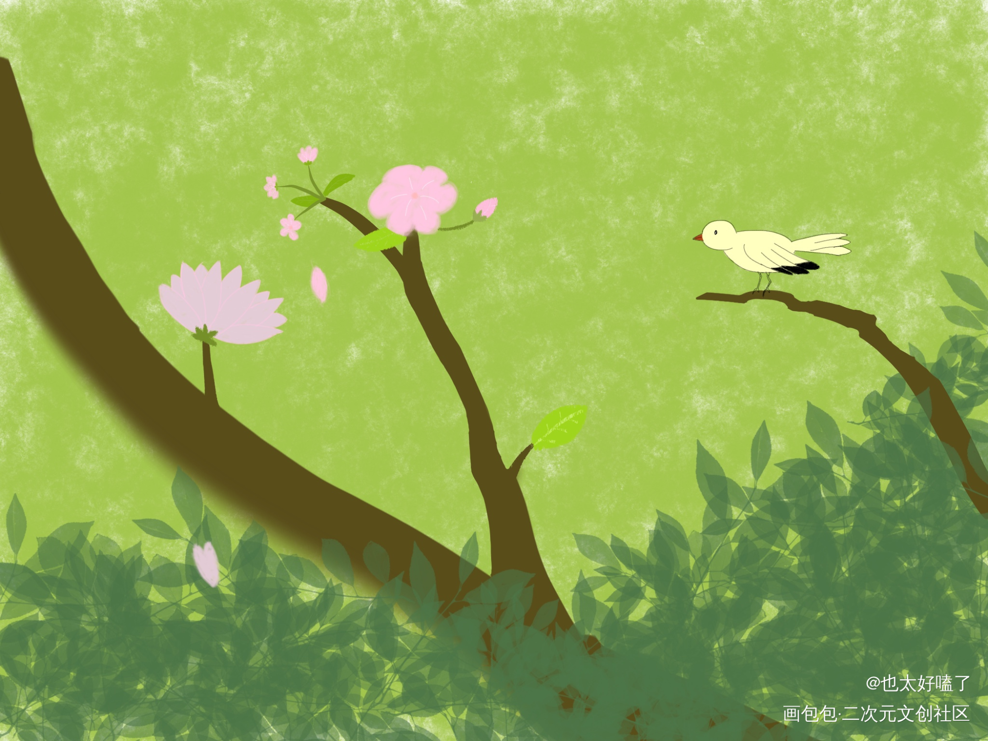 小鸟_手绘绘画作品