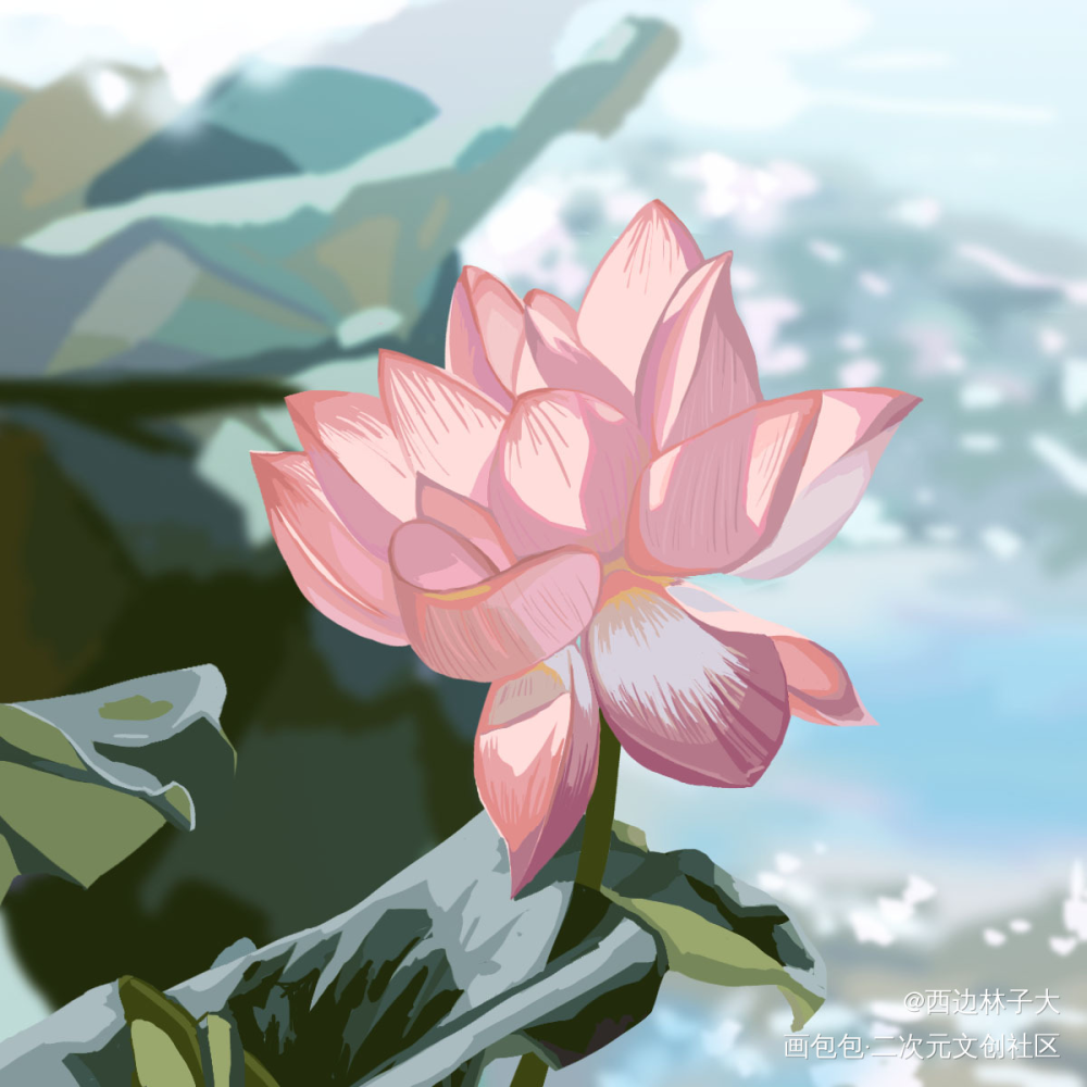 荷花_平涂日系绘画绘画作品