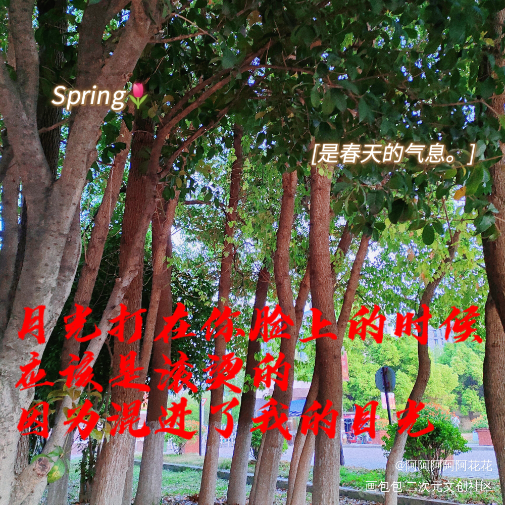 我的目光_手写绘画作品