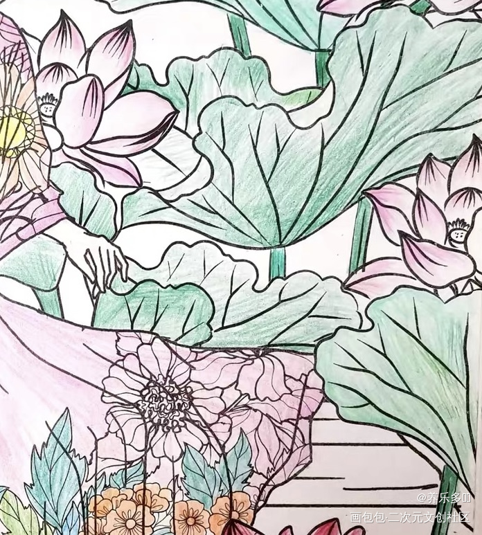 春荷_手绘绘画作品