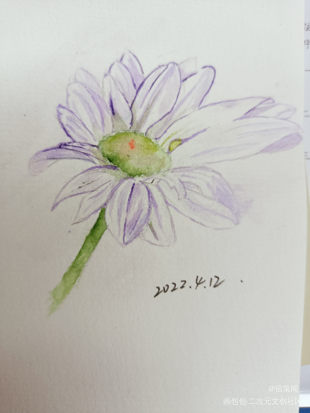 雏菊_水彩绘画作品