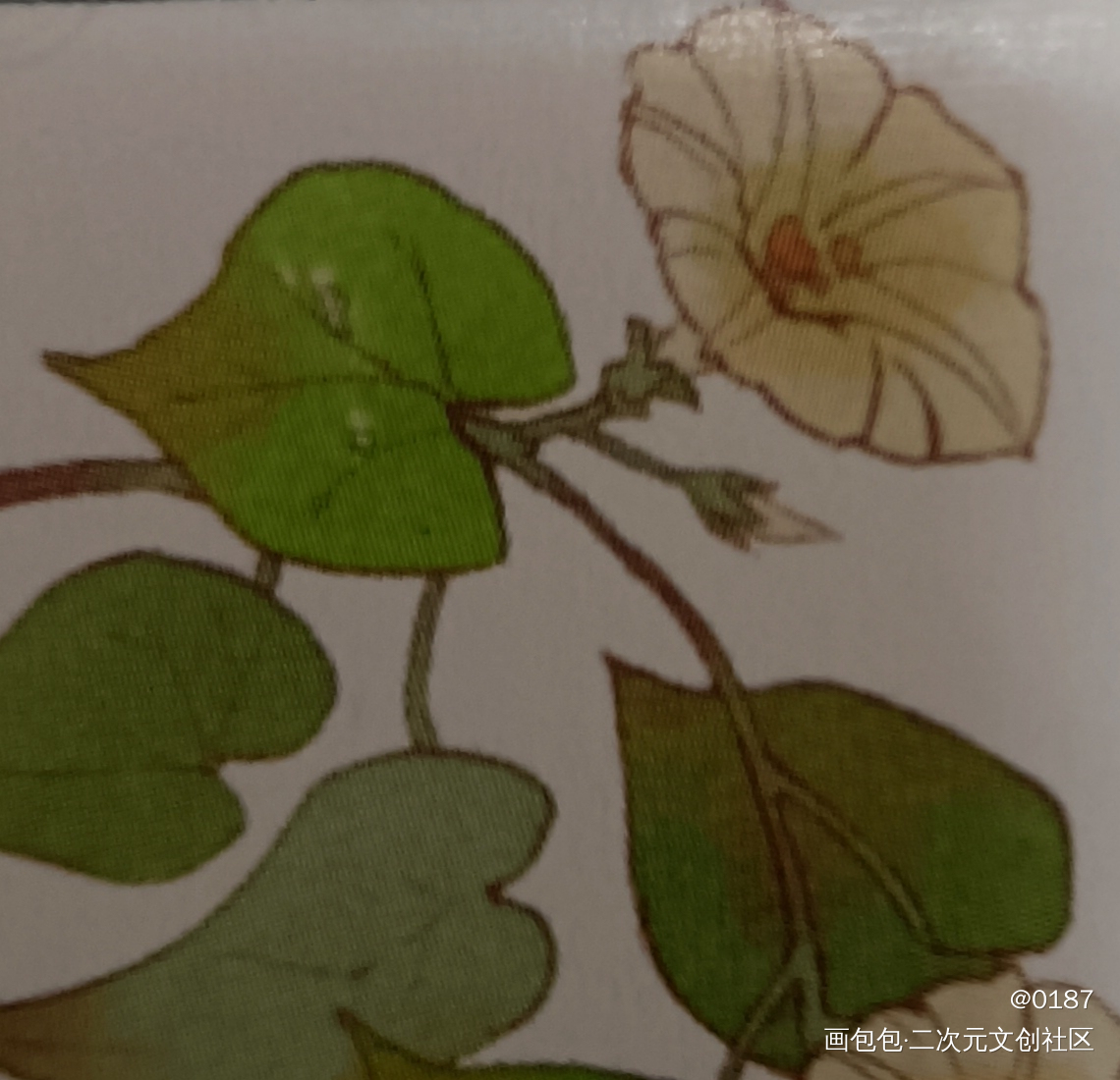 小花花_水彩绘画作品