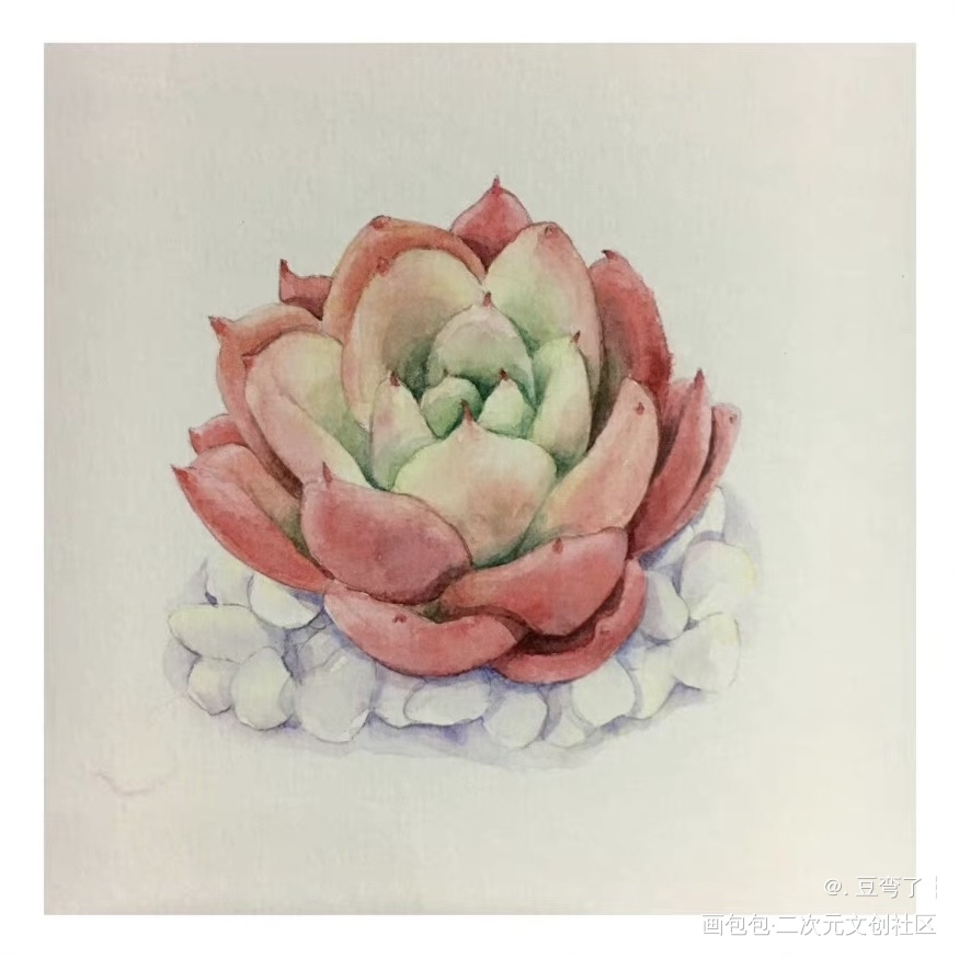 Day6_水彩绘画作品