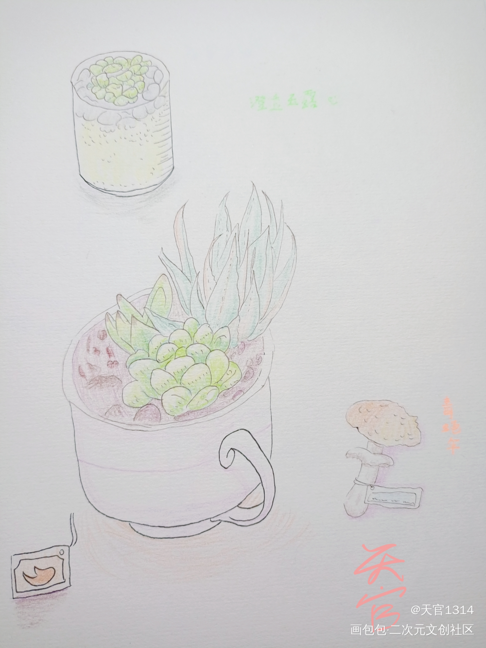 澄透玉露多肉_彩铅绘画作品