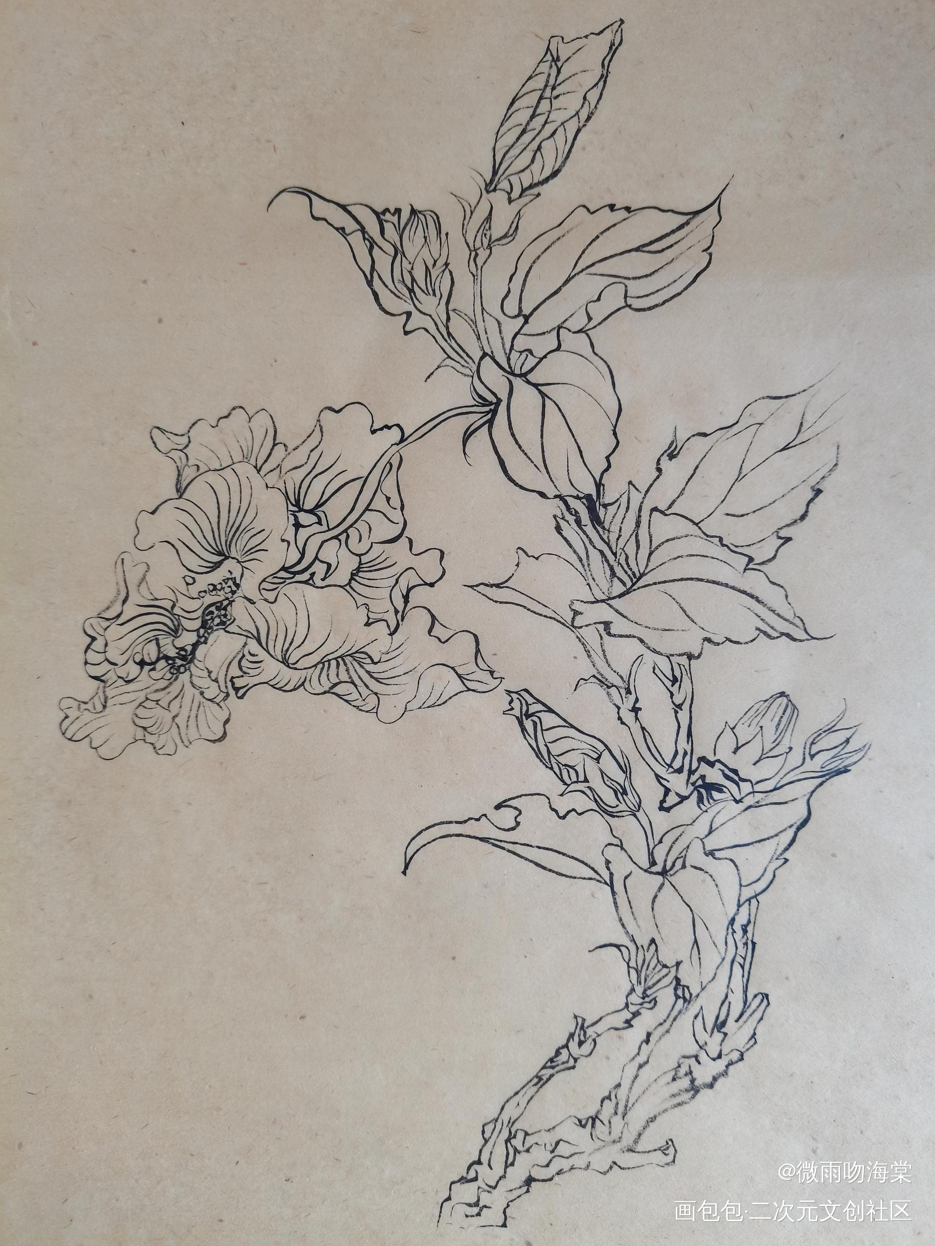 每日打卡_水墨手绘绘画作品