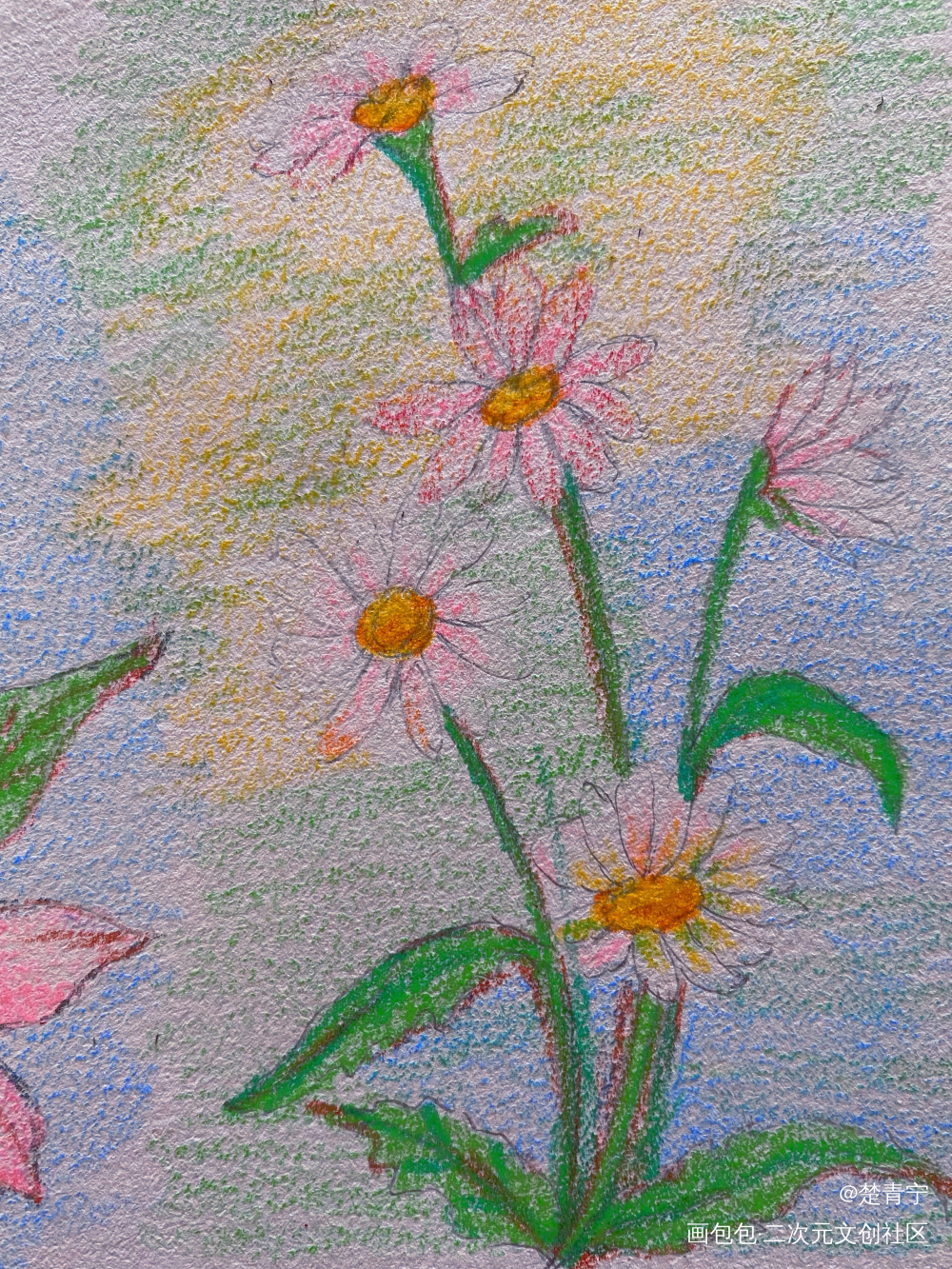 打卡_唤醒春日主题打卡绘画作品