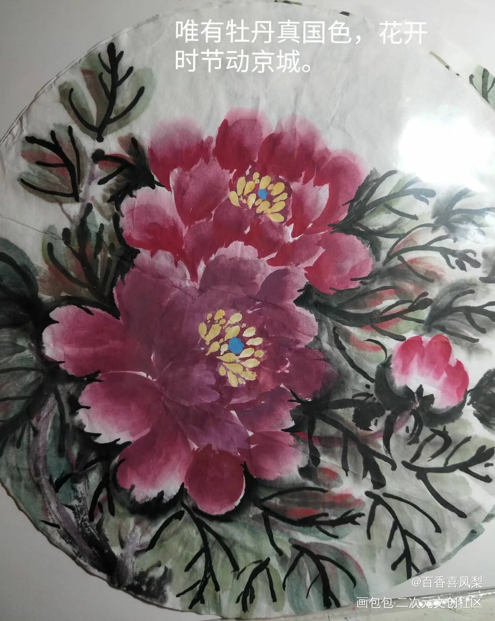 牡丹_手绘古风绘画作品