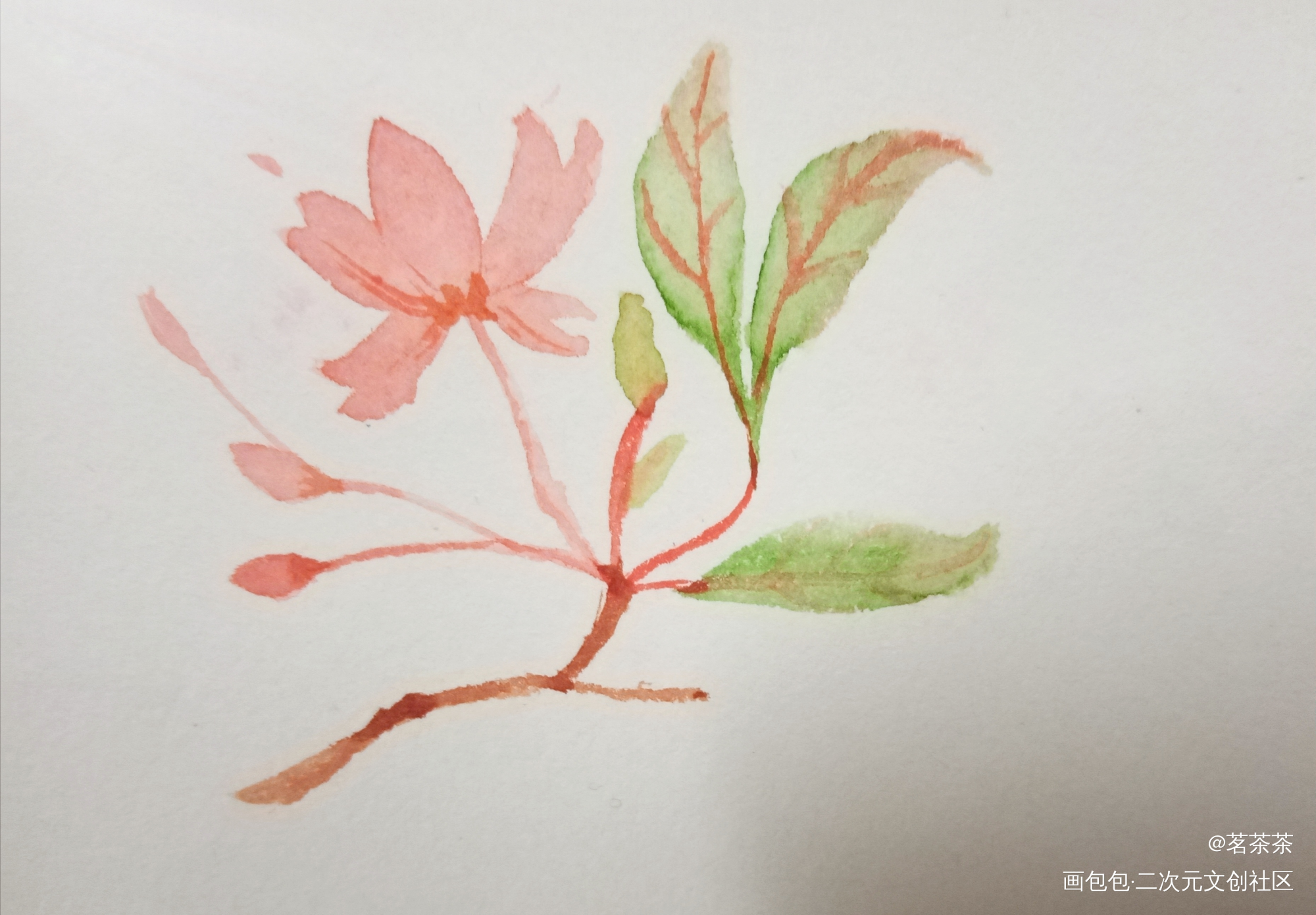 花花_手绘水彩绘画作品