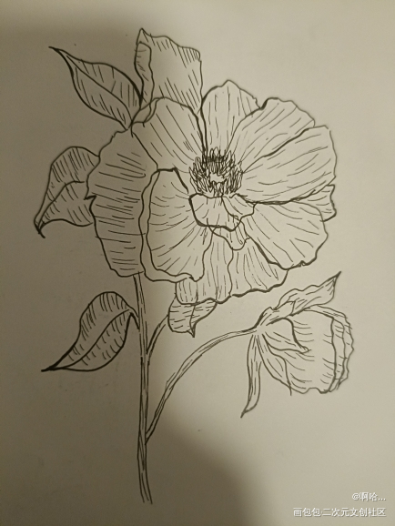 临摹_唤醒春日主题打卡绘画作品