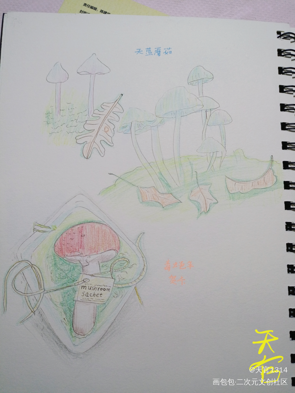 磨茹_彩铅绘画作品