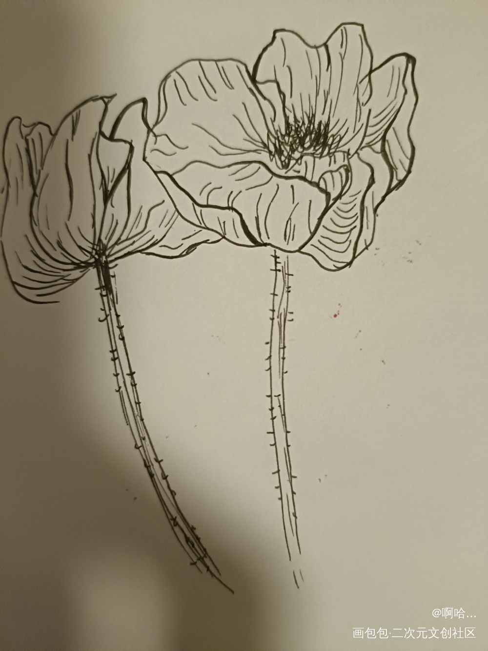 临摹_唤醒春日主题打卡绘画作品