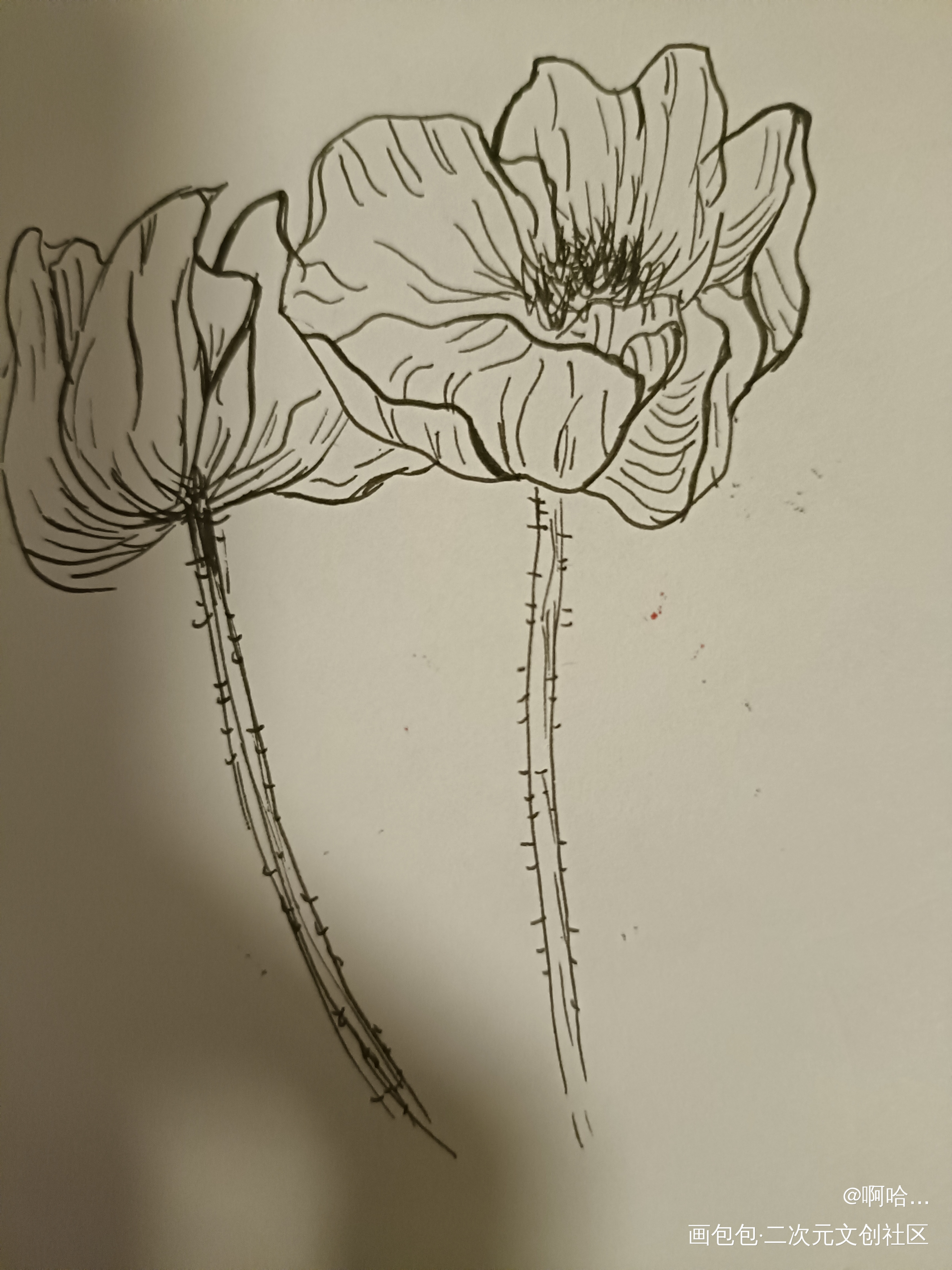 临摹_唤醒春日主题打卡绘画作品