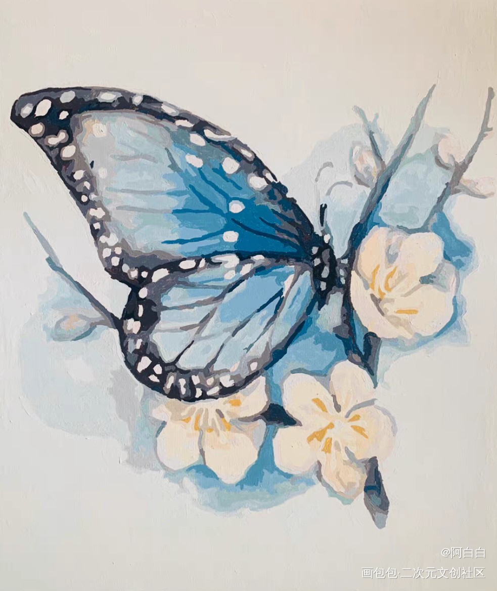 春与蝶_手绘绘画作品