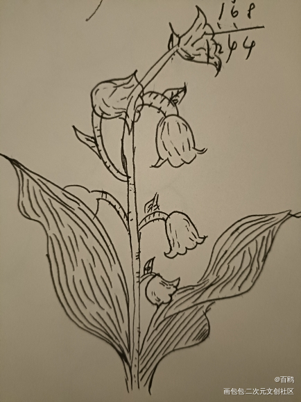 花_唤醒春日主题打卡绘画作品