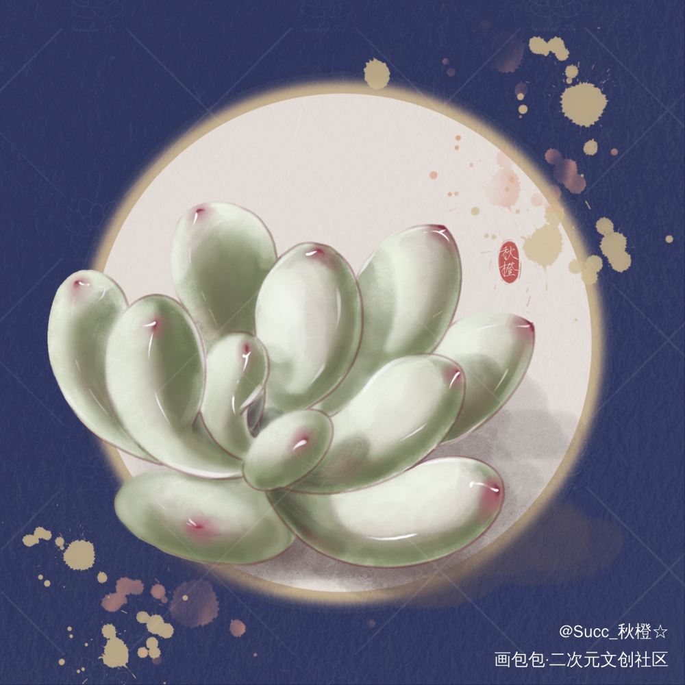春日多肉第一弹_procreate绘画作品