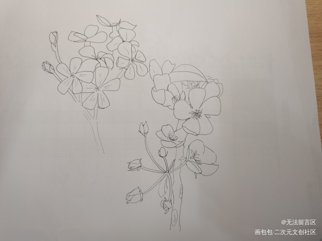 _原创绘画作品