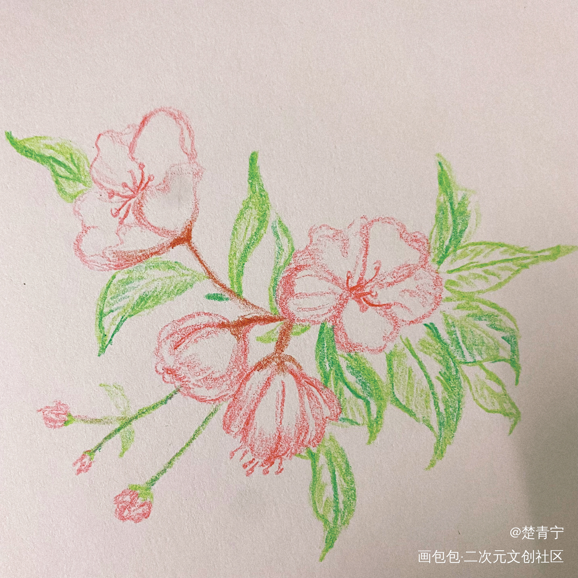 打卡_唤醒春日主题打卡绘画作品