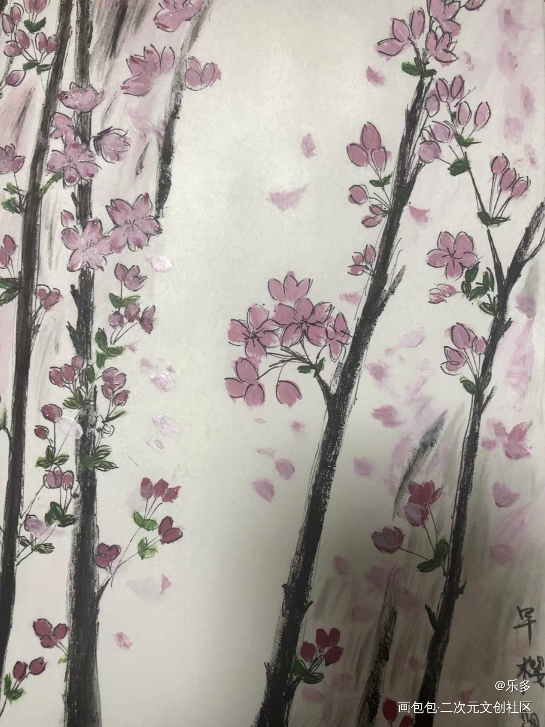 樱花_手绘绘画作品