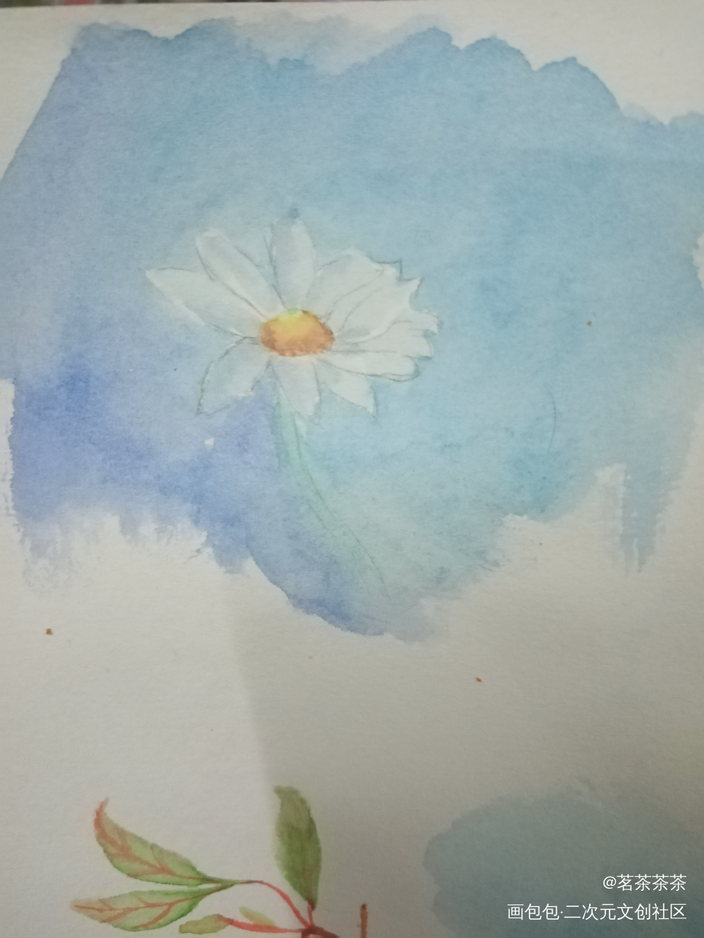 雏菊_手绘水彩绘画作品