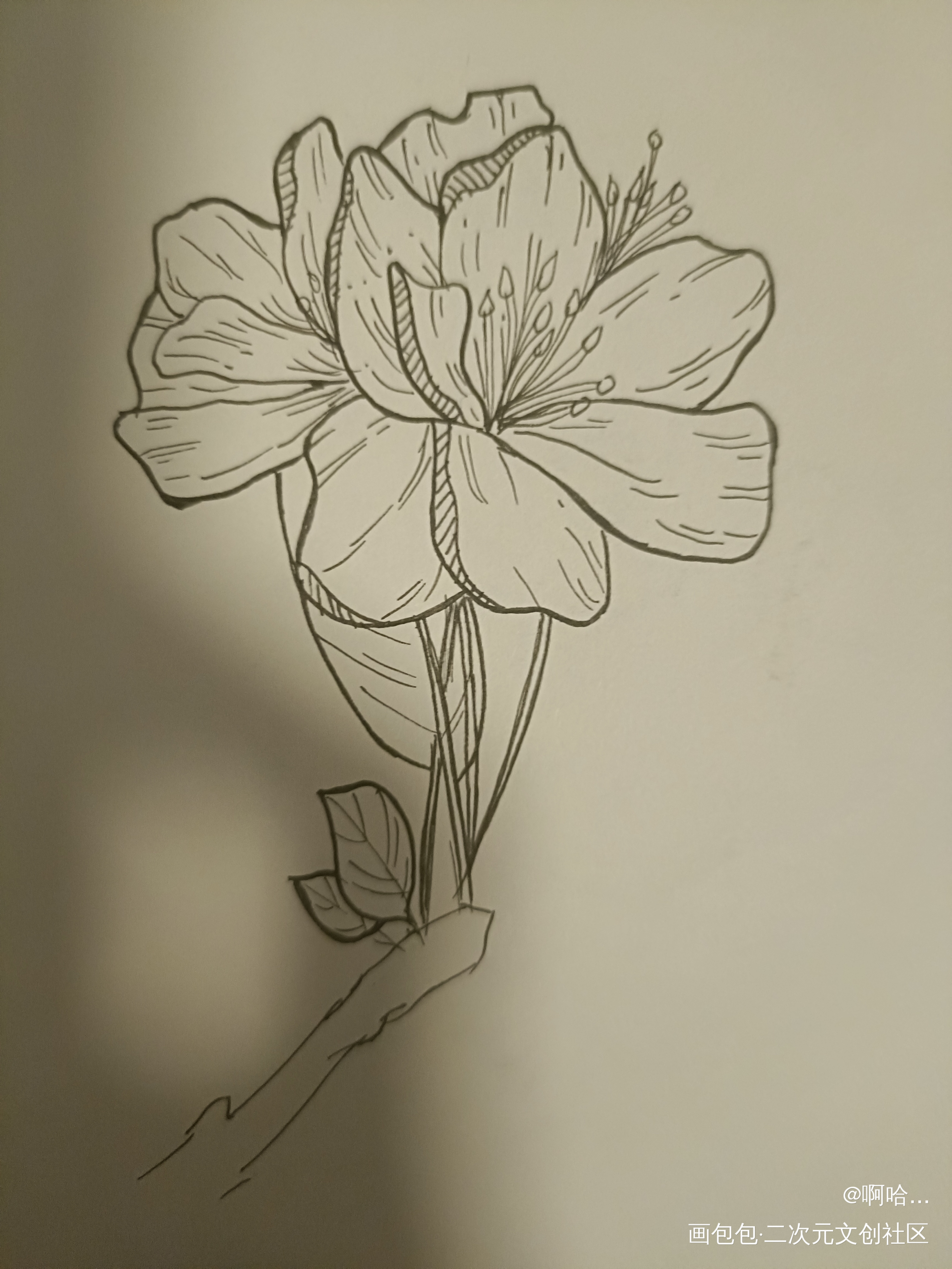 临摹_唤醒春日主题打卡绘画作品
