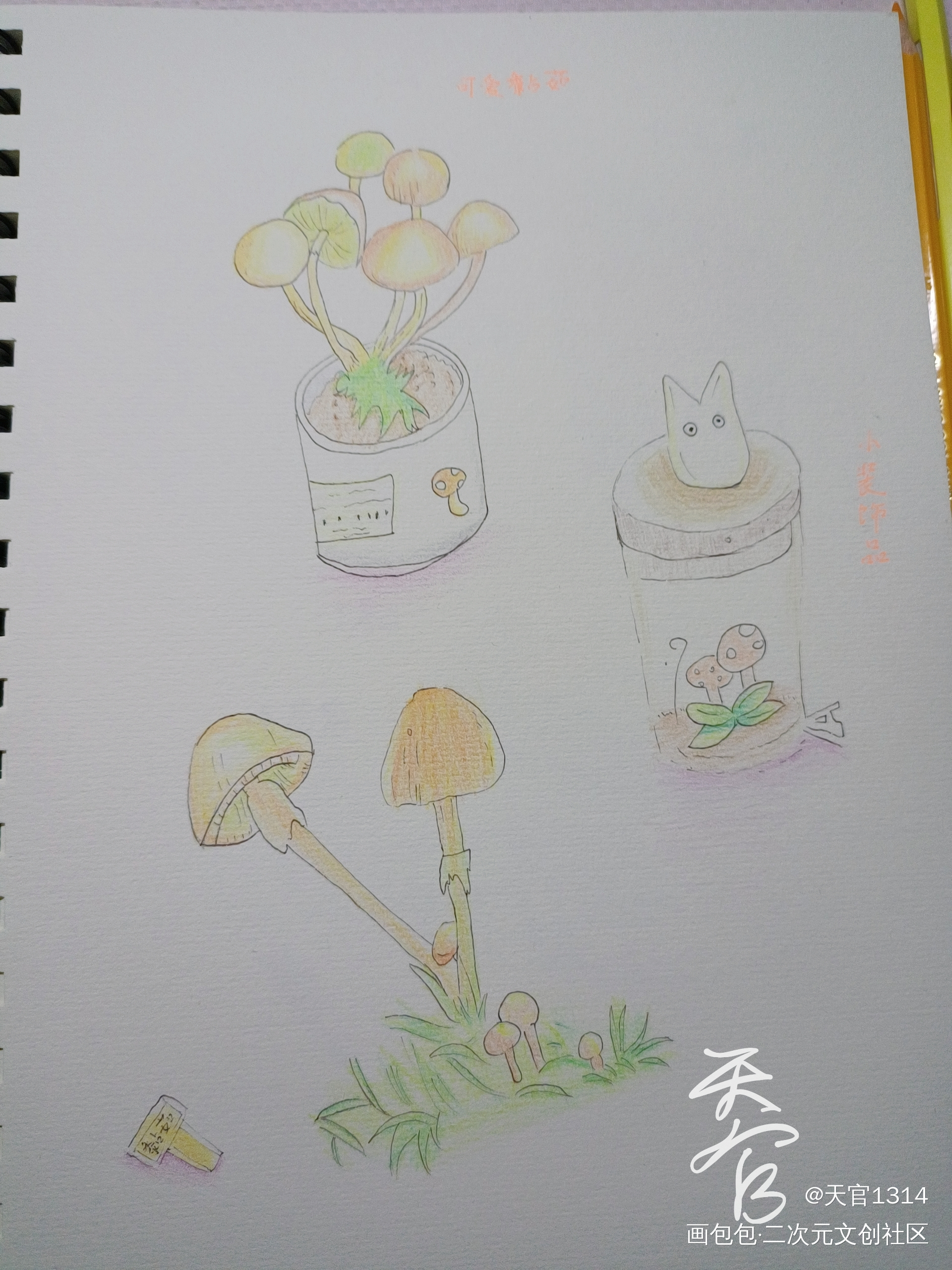 可爱黏茹_彩铅绘画作品
