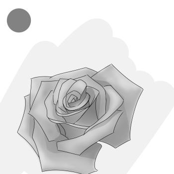 黑玫瑰_植物黑玫瑰绘画作品