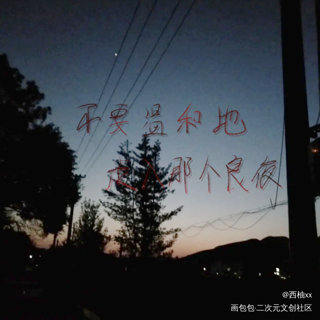 day4_小蘑菇字体设计板写绘画作品
