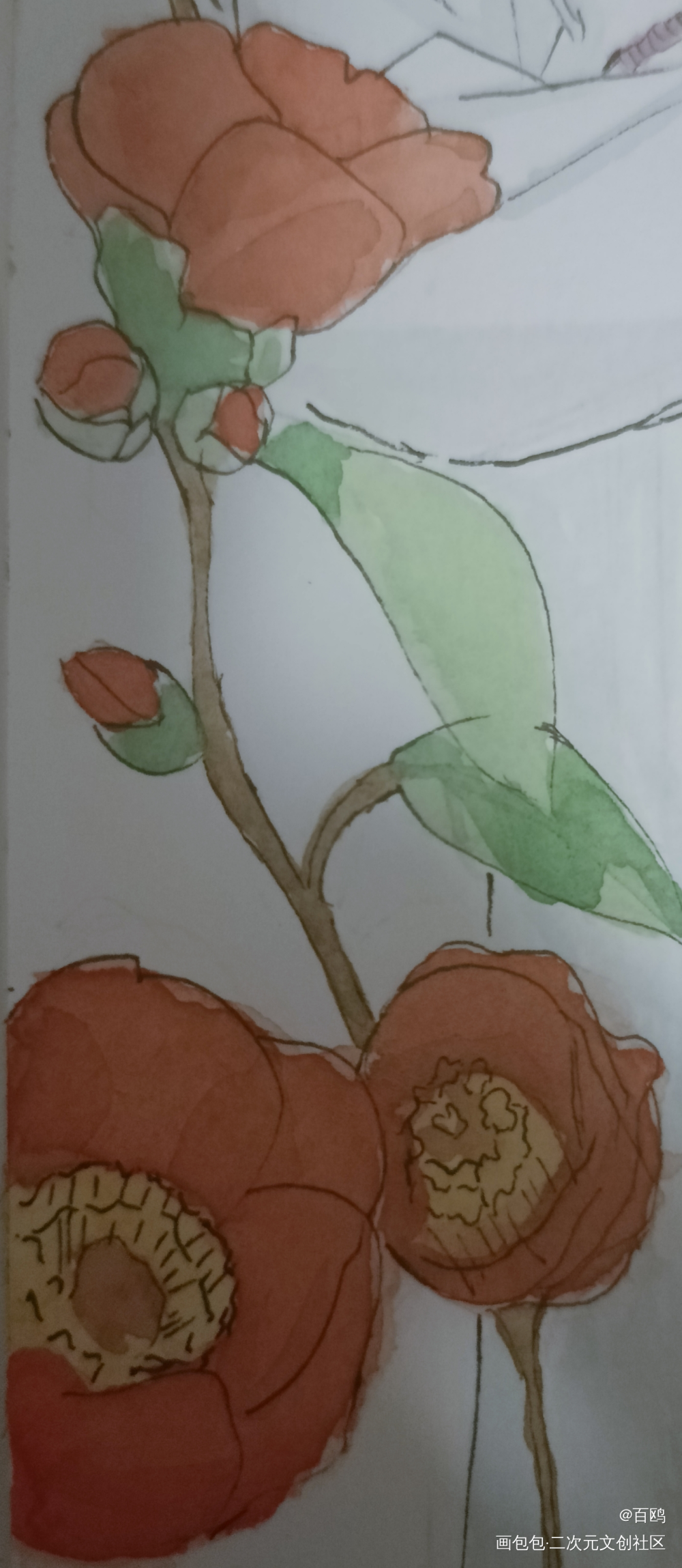 花_唤醒春日主题打卡绘画作品