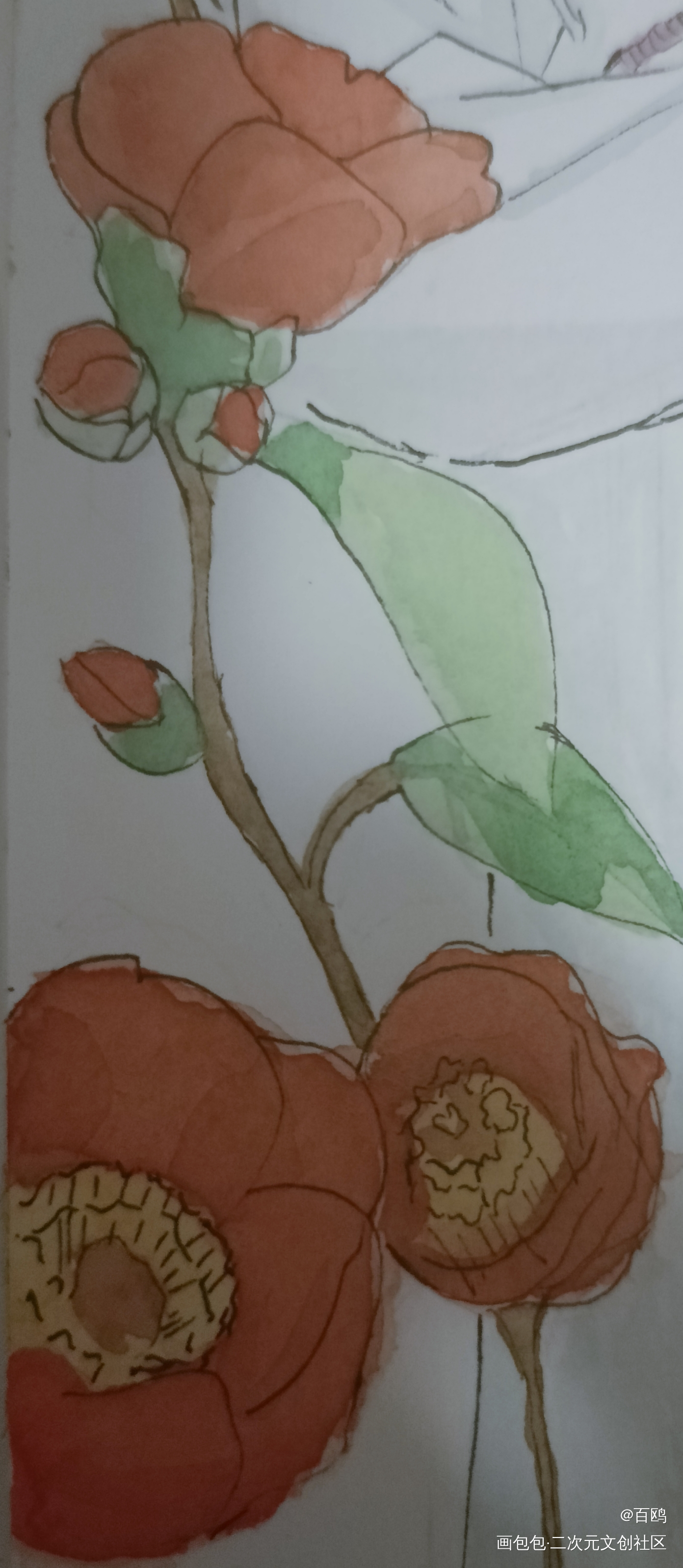 花_唤醒春日主题打卡绘画作品