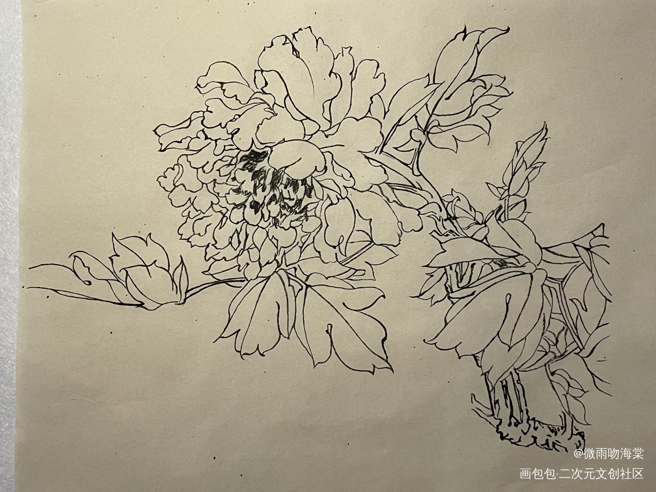 打卡9_水墨手绘绘画作品