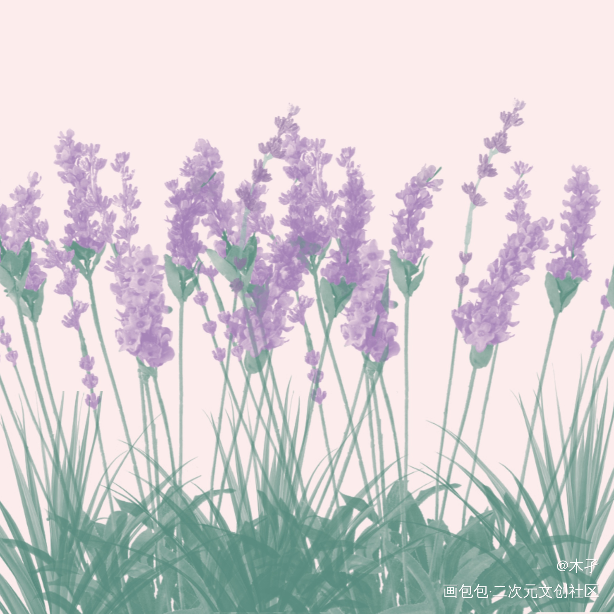 day7_平涂指绘绘画作品