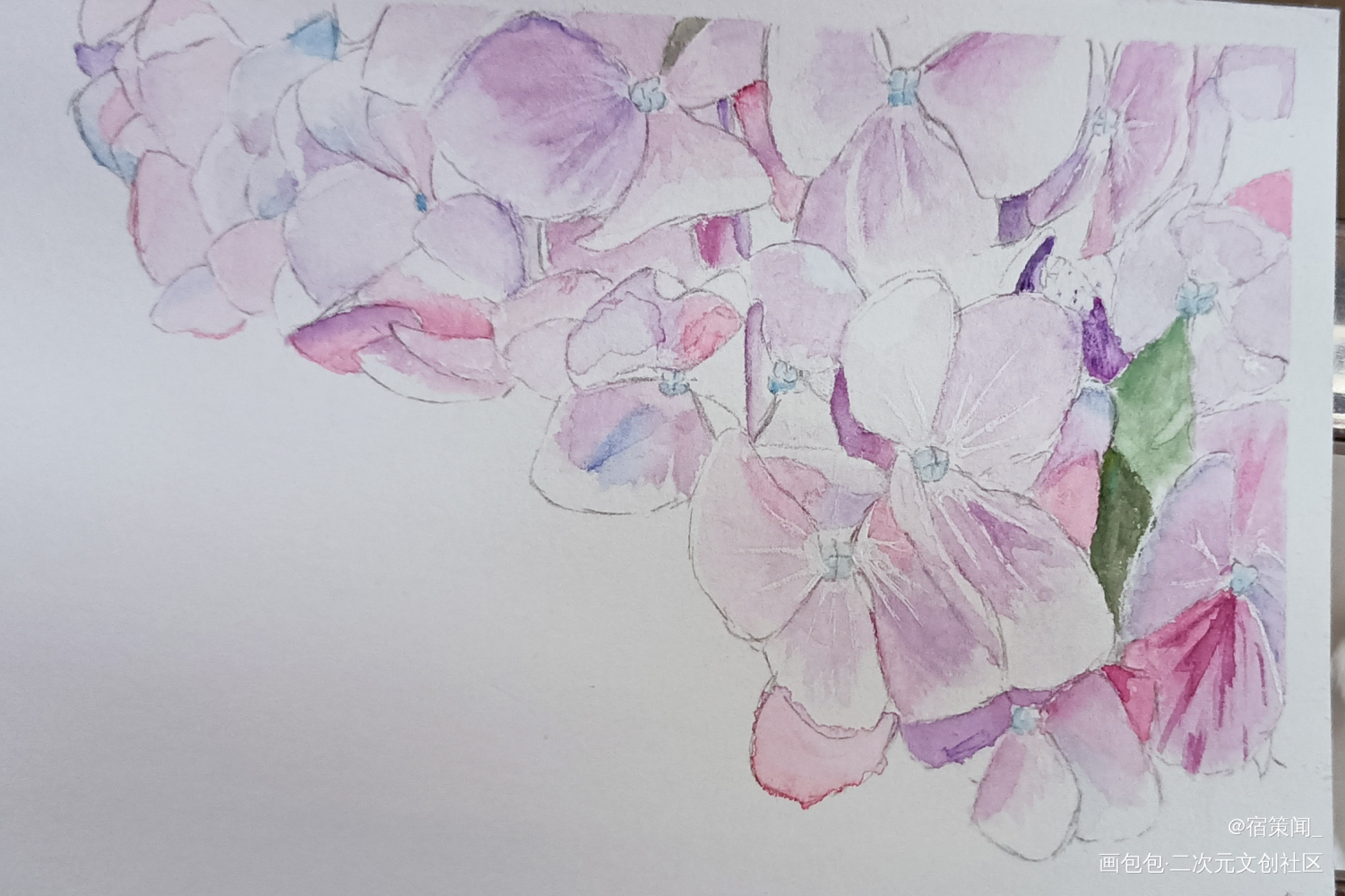 紫藤_水彩绘画作品