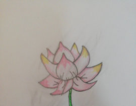 荷花_绘画作品