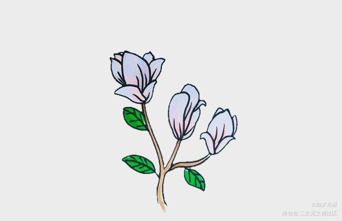 玉兰_绘画绘画作品