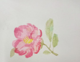 山茶花_绘画作品