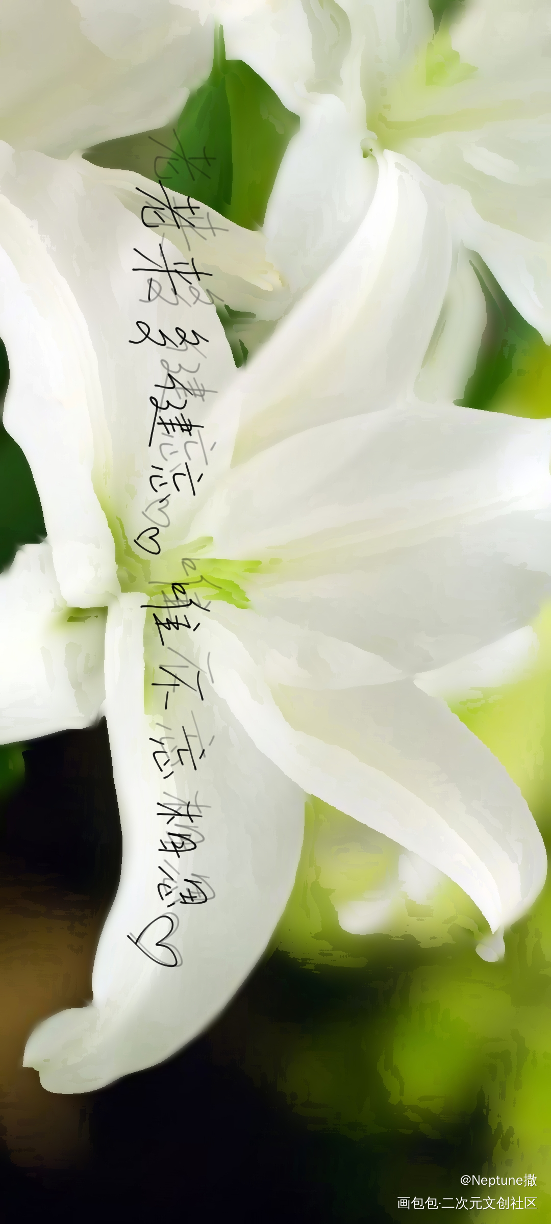_手写绘画作品