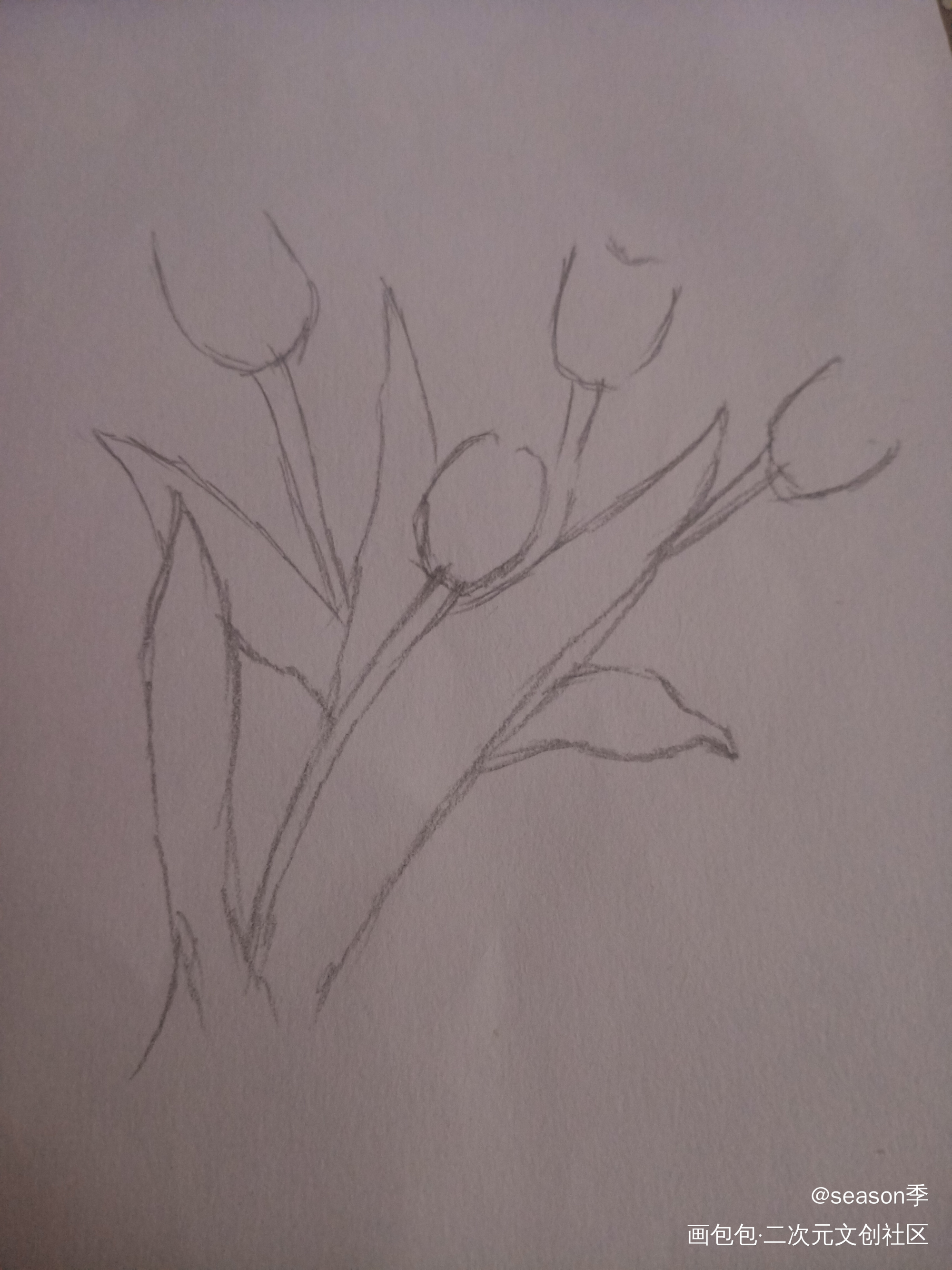 花_手绘绘画作品