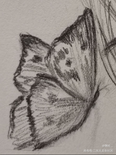 蝴蝶?_唤醒春日主题打卡绘画作品
