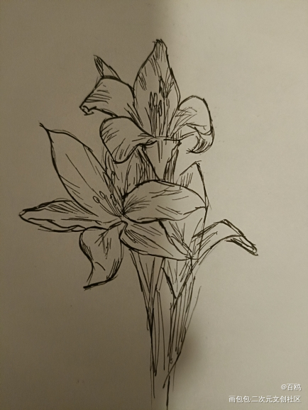 打卡_唤醒春日主题打卡绘画作品