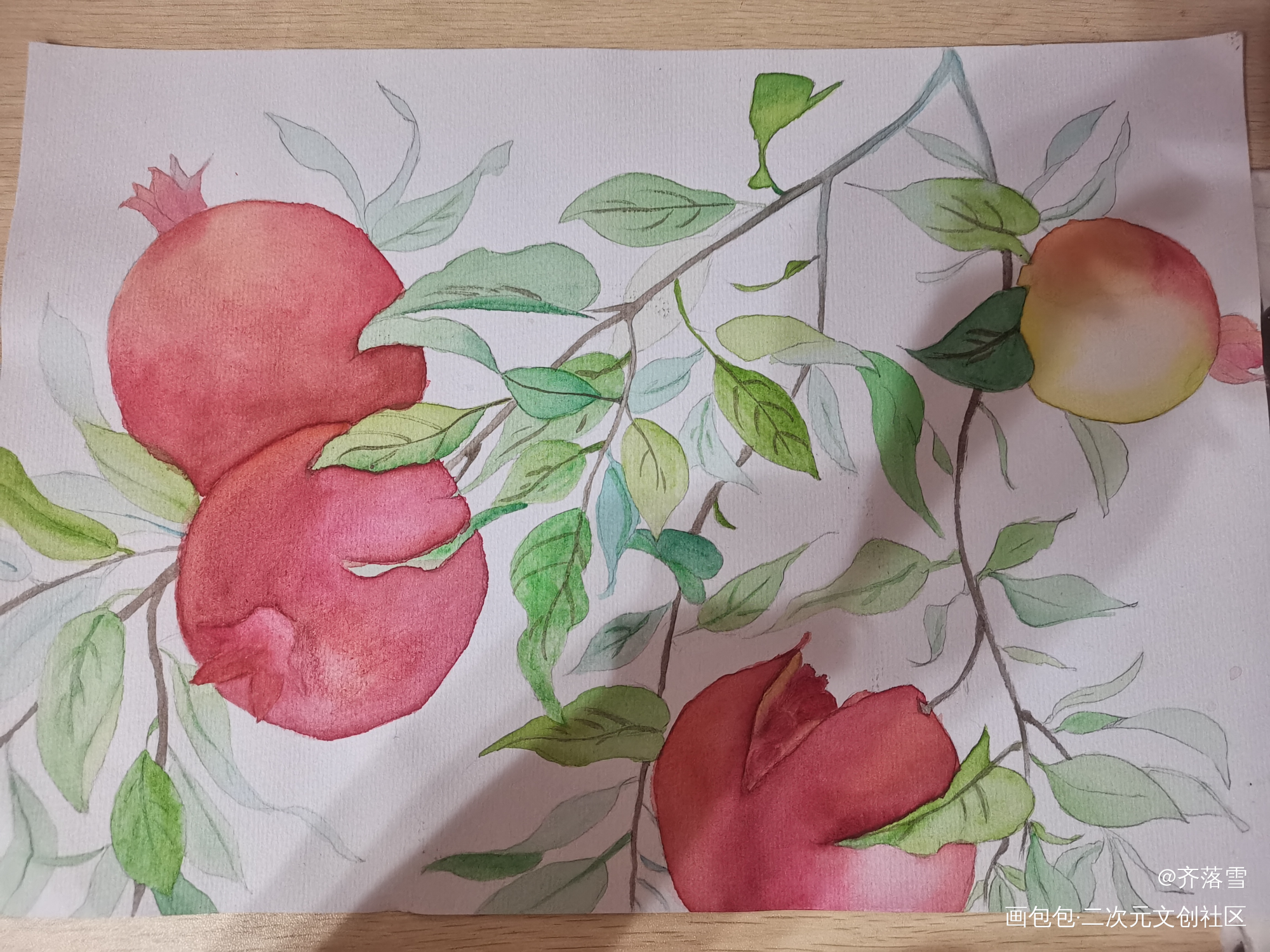 石榴_临摹绘画作品