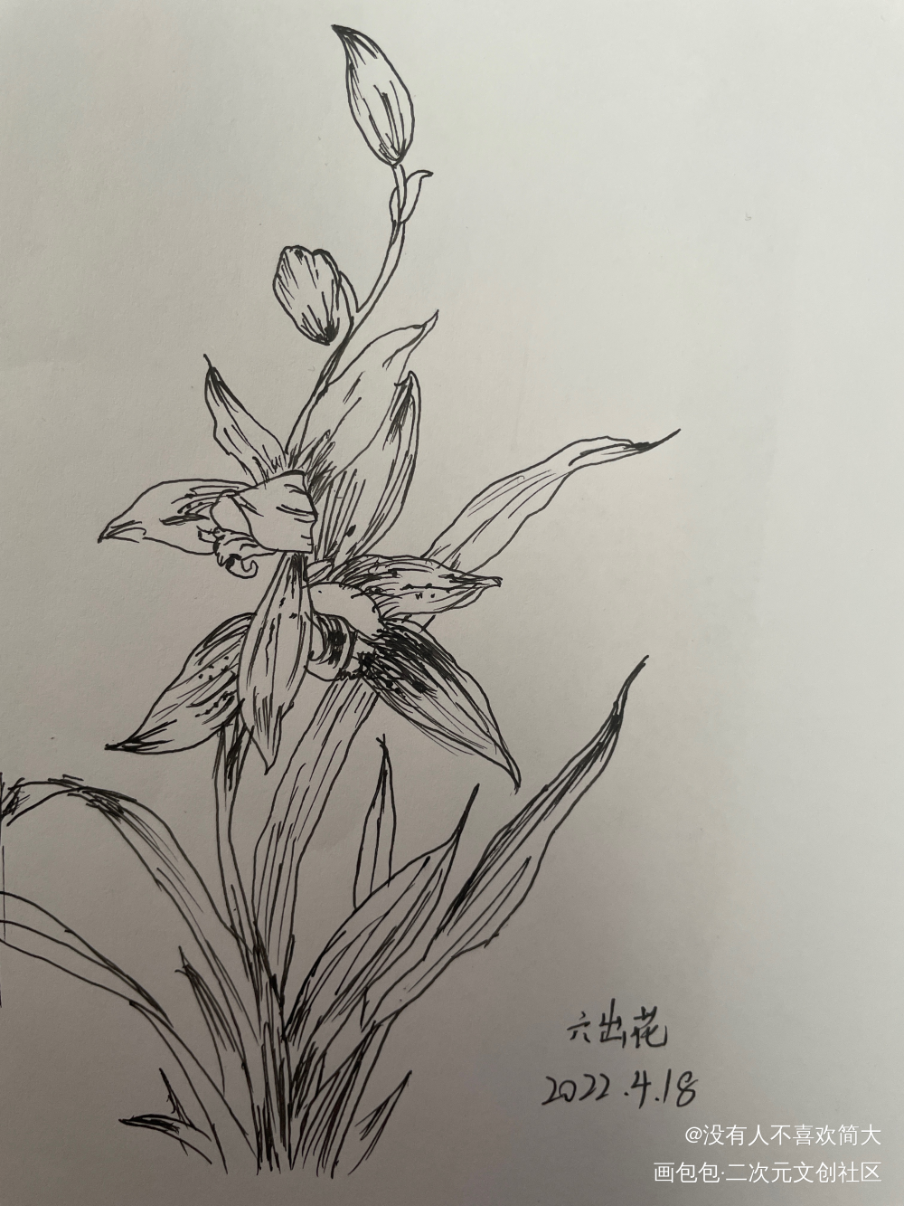 六出花_手绘绘画作品