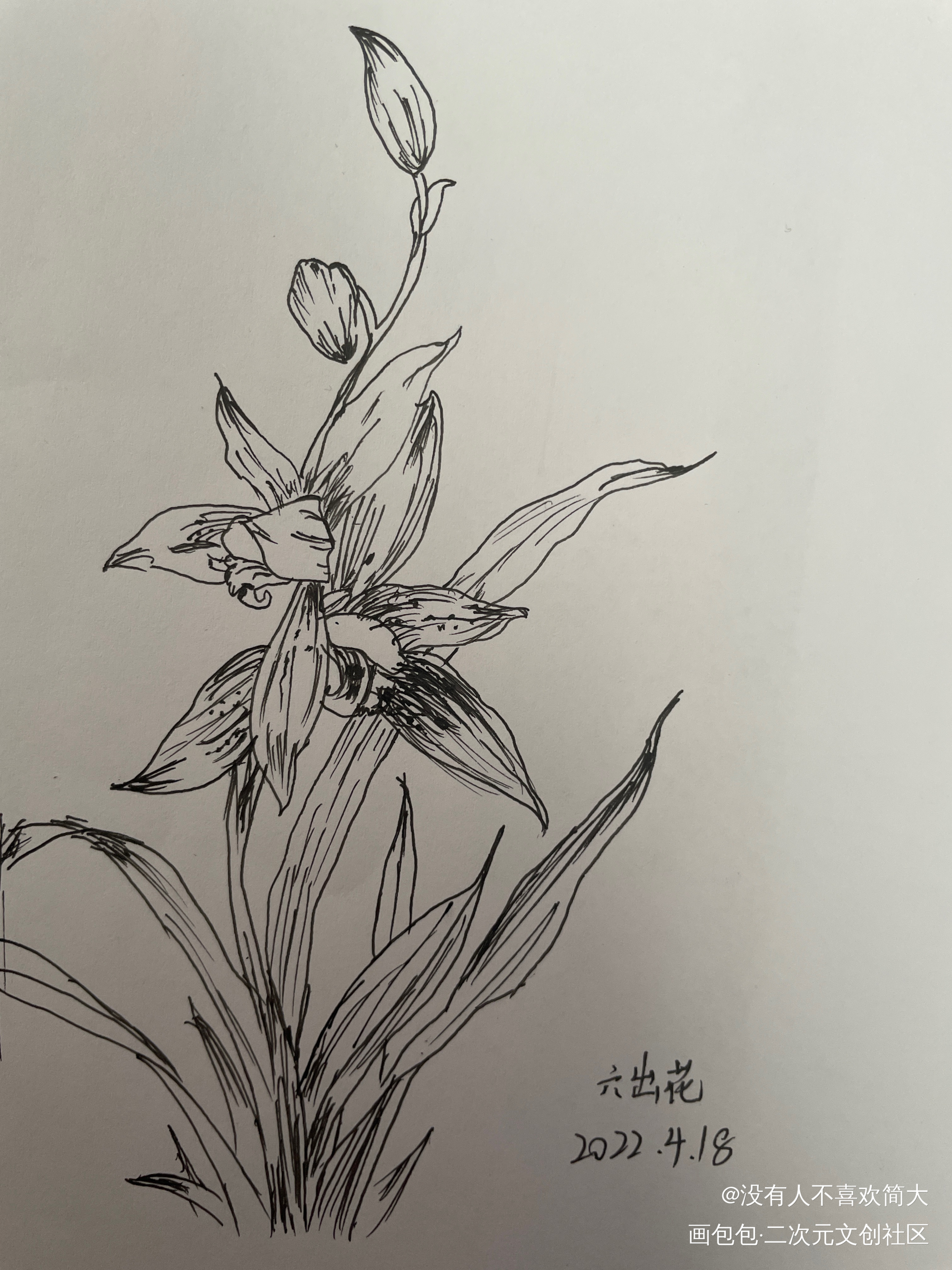 六出花_手绘绘画作品
