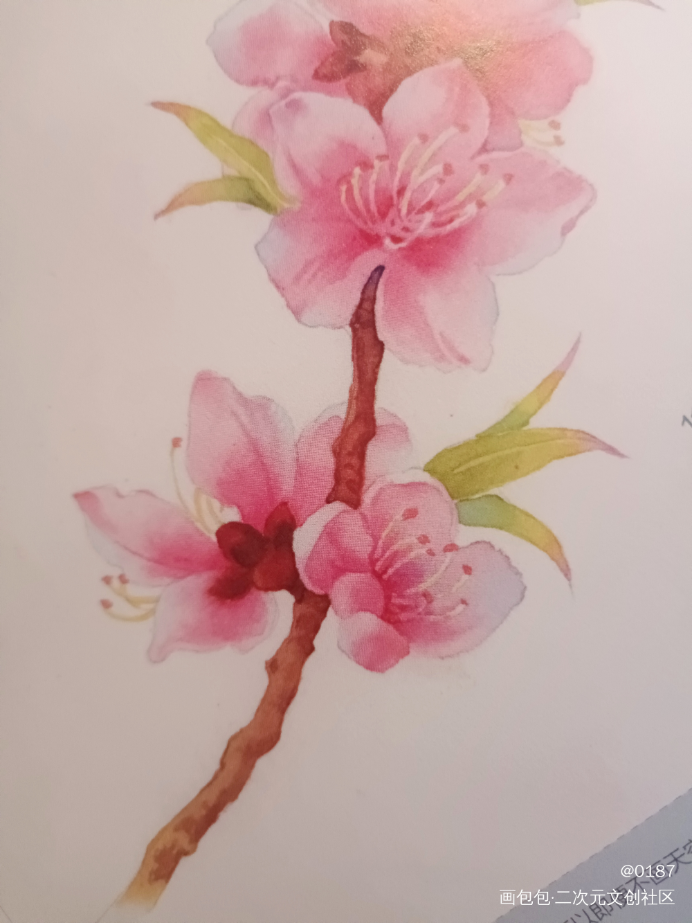 _手绘水彩绘画作品