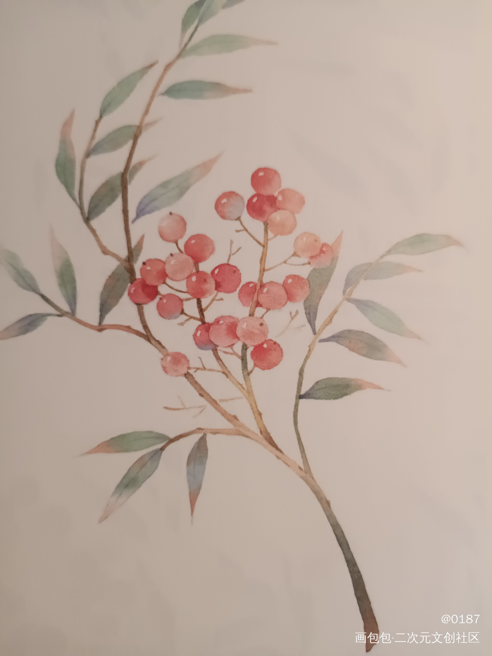 _手绘水彩绘画作品