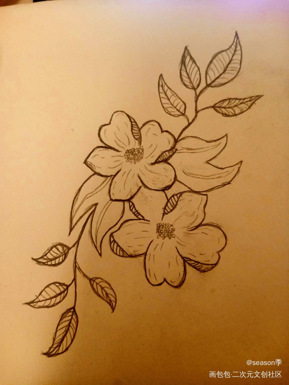 花_手绘绘画作品