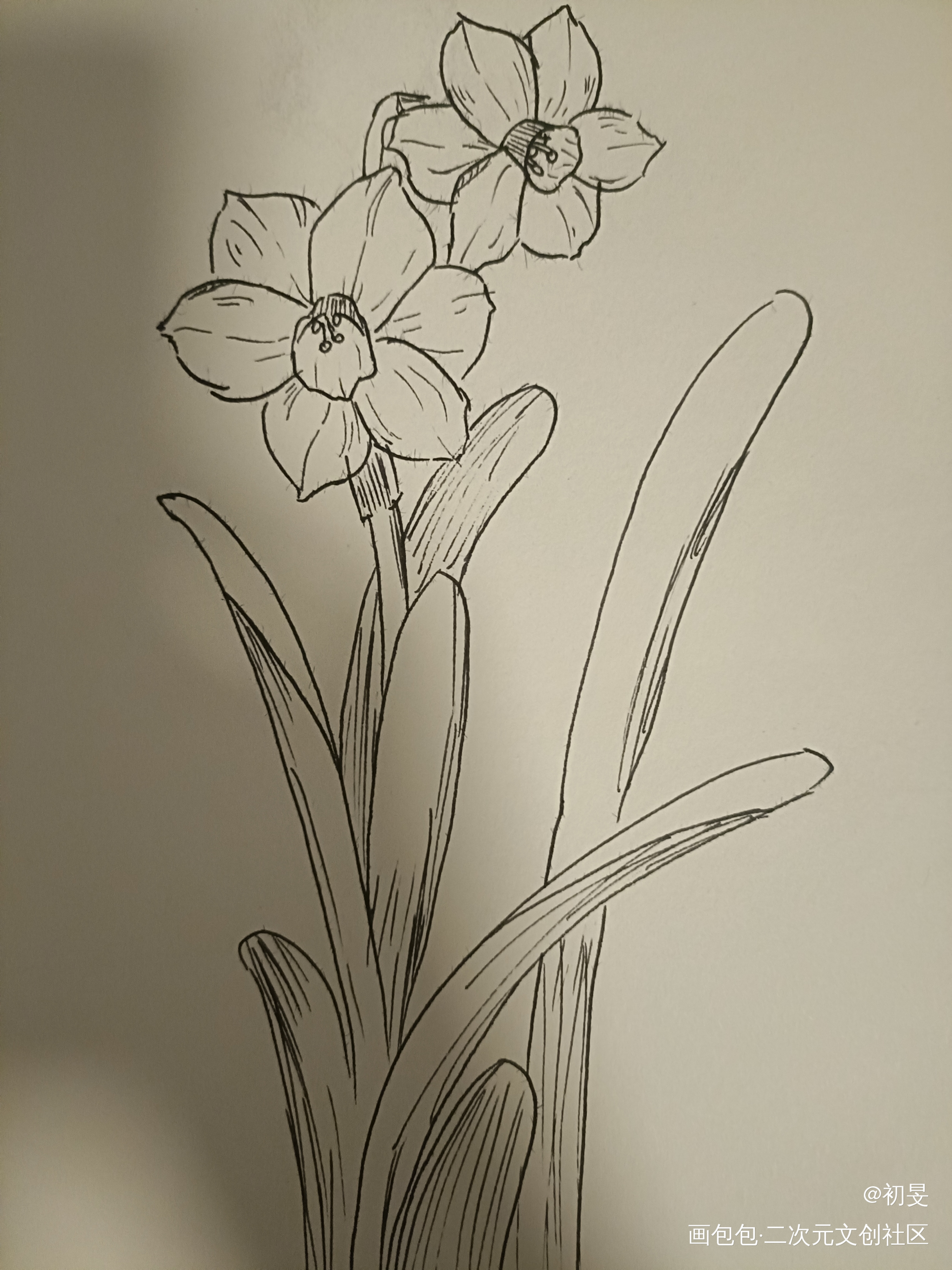 花_唤醒春日主题打卡绘画作品