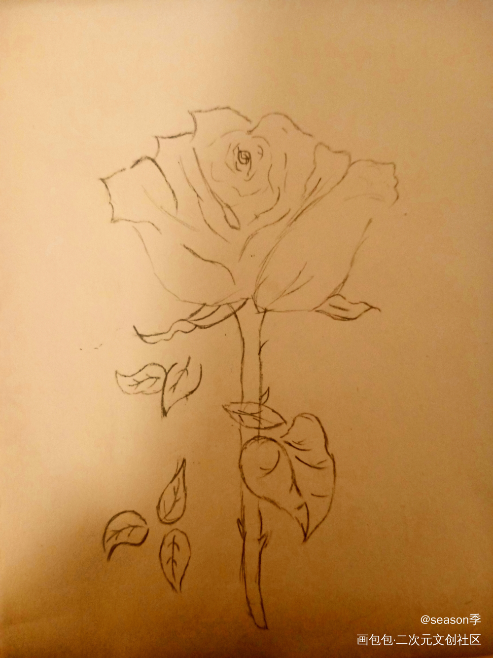 花_手绘绘画作品