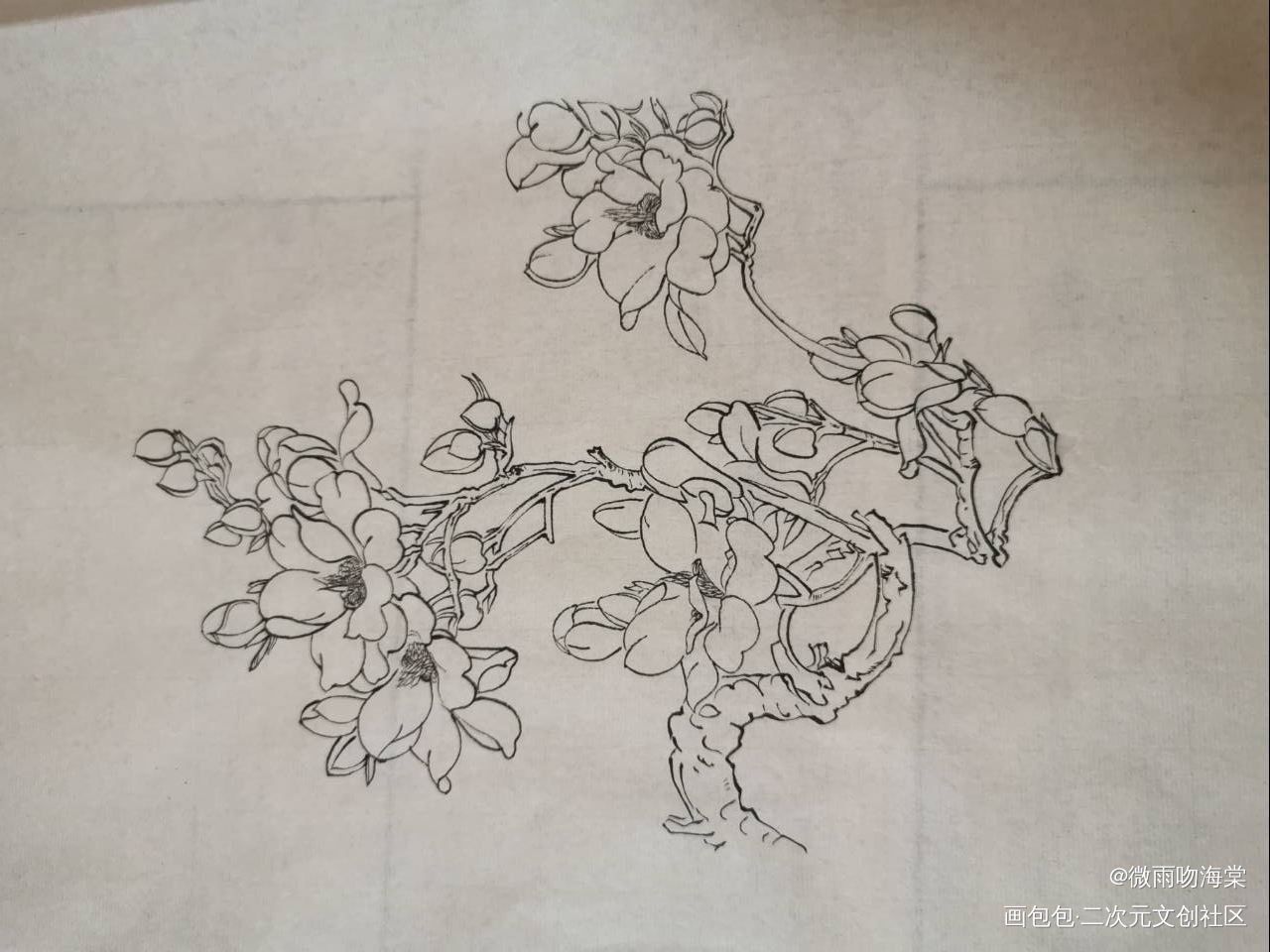 每日打卡12_水墨手绘绘画作品