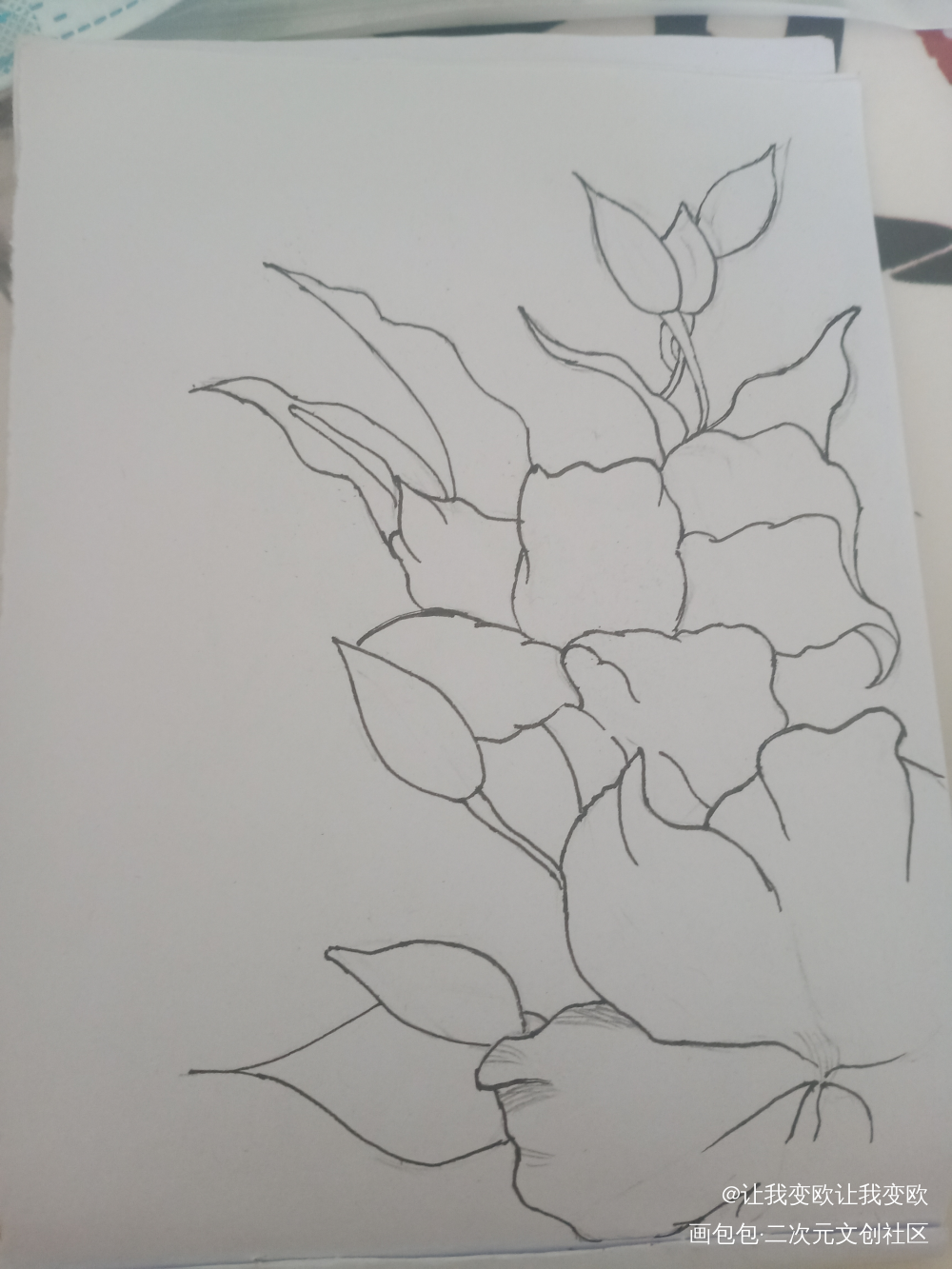 花_手绘绘画作品